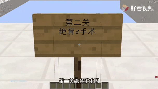 我的世界手术生宝宝