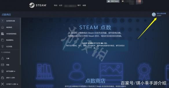 steam点数可以干嘛图标