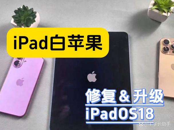 ipad卡在搜索界面