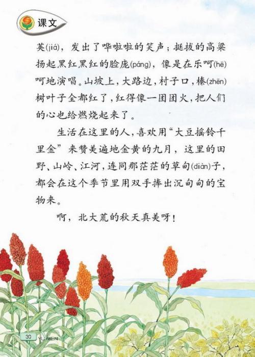 新领程三年级上册语文答案