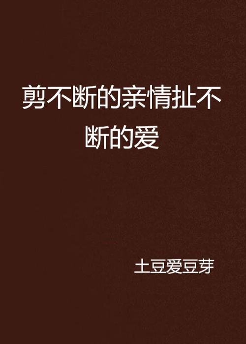 剪不断小说