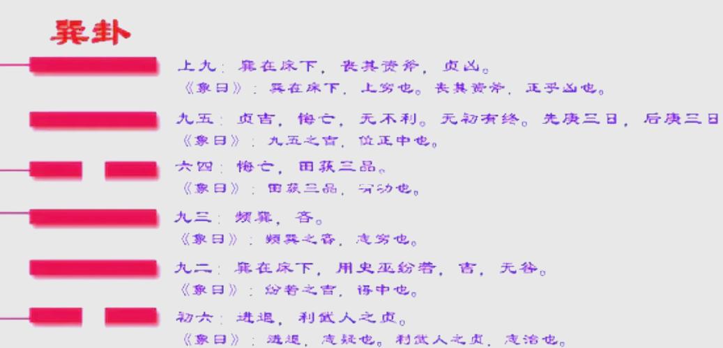 易经巽卦截图