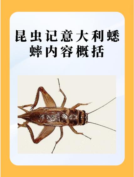 蛐蛐的种类及特点图标