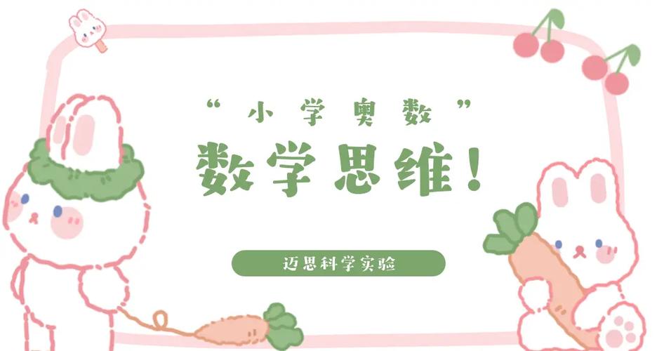 狸米数学是奥数吗