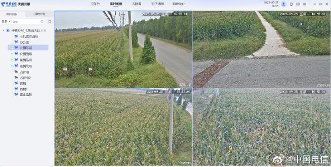 怎么给田地里装监控