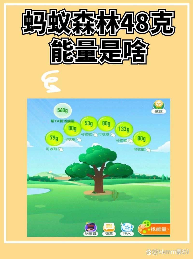 蚂蚁森林能量什么时候收取最多