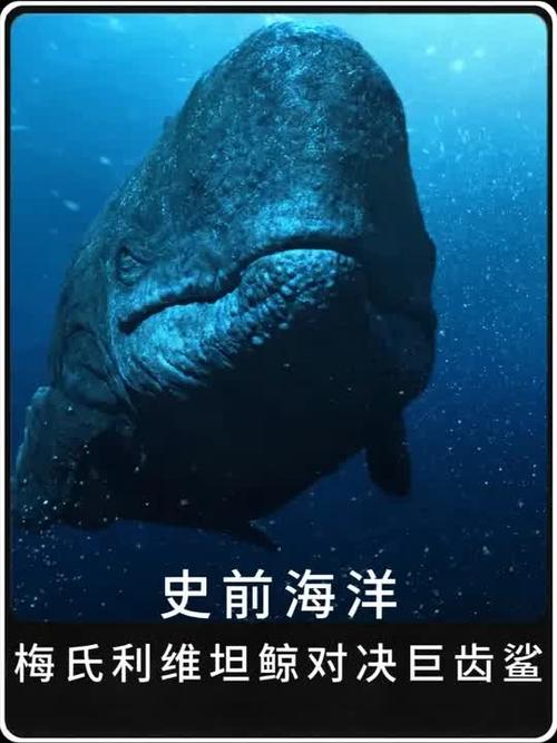 利维坦鲸vs沧龙