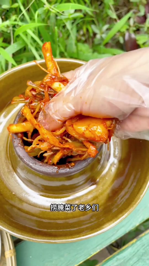 云南捞腌菜手机免费版截图