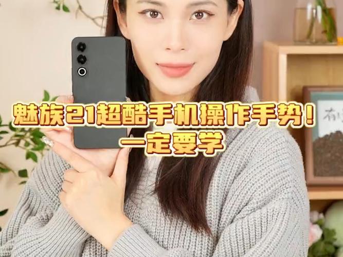 魅族手势设置在哪里图标