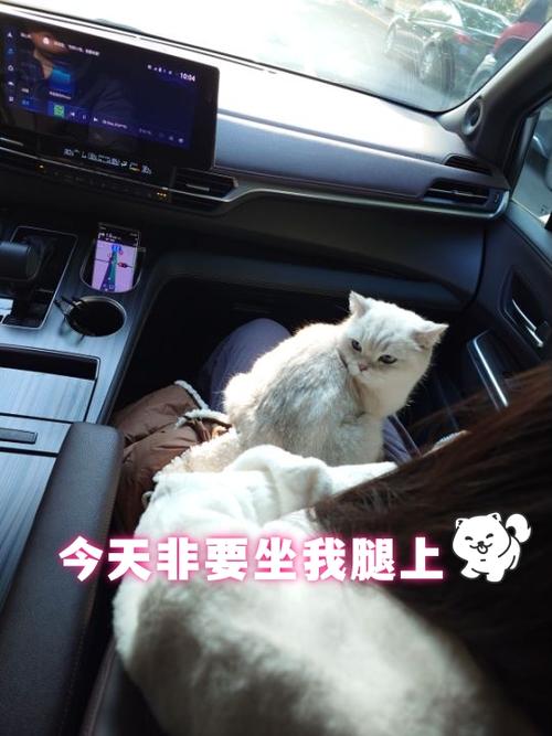 广告有个男的在车里看了女的腿一眼