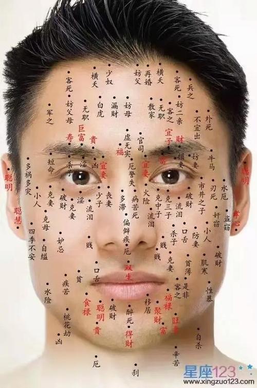 面相全图解析图标