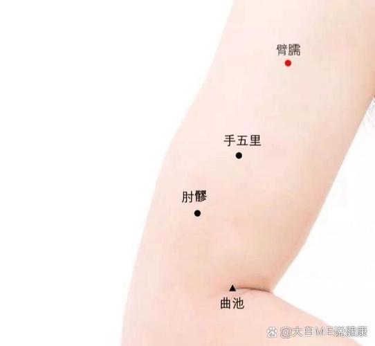 臑内指什么部位图片截图