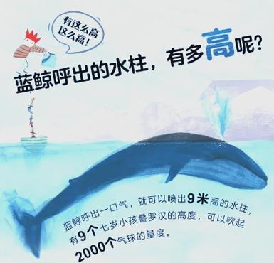 金鱼鲸鱼的拼音截图