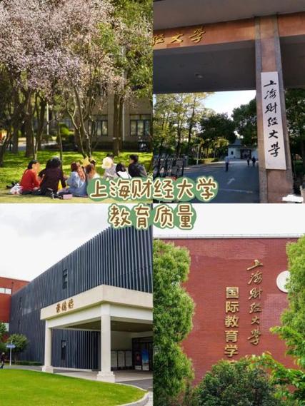 上海财经大学学生平台