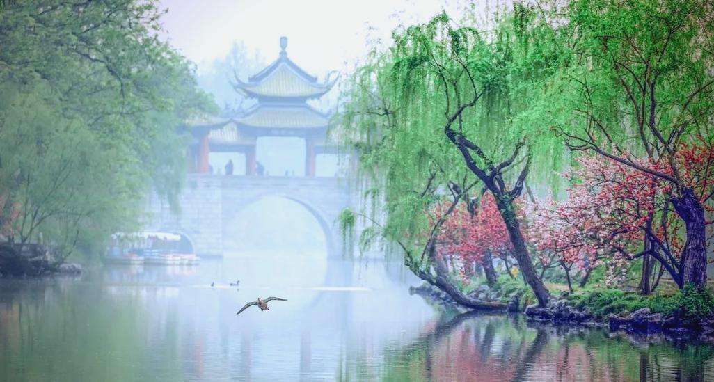 春景照片大全缩略图