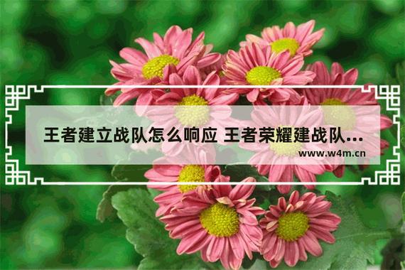王者战队创建怎么响应