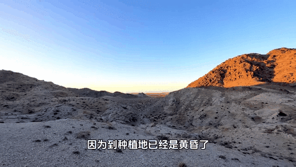 蚂蚁森林动态可以隐藏吗