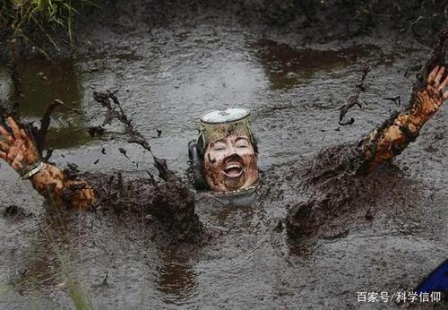 沼泽地吞人的视频