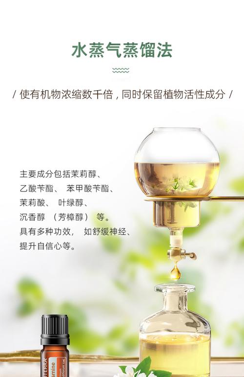 叶绿醇的作用与功效