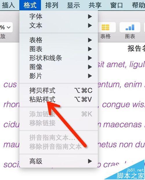 输入苹果APP的格式