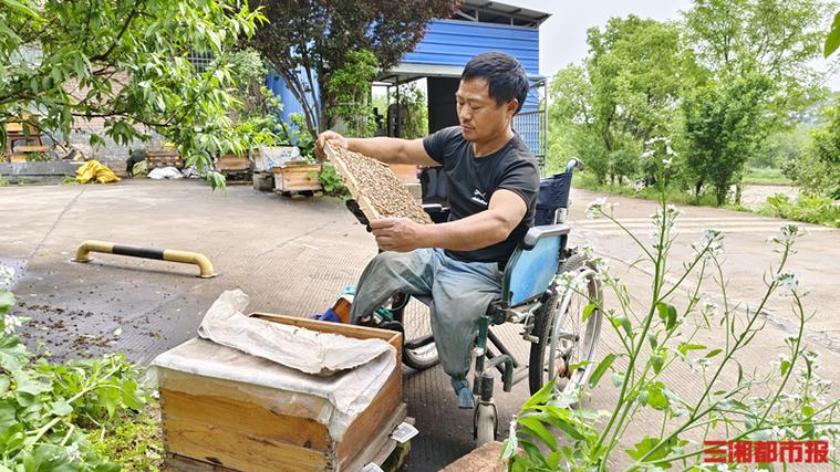 养蜂哥的谁