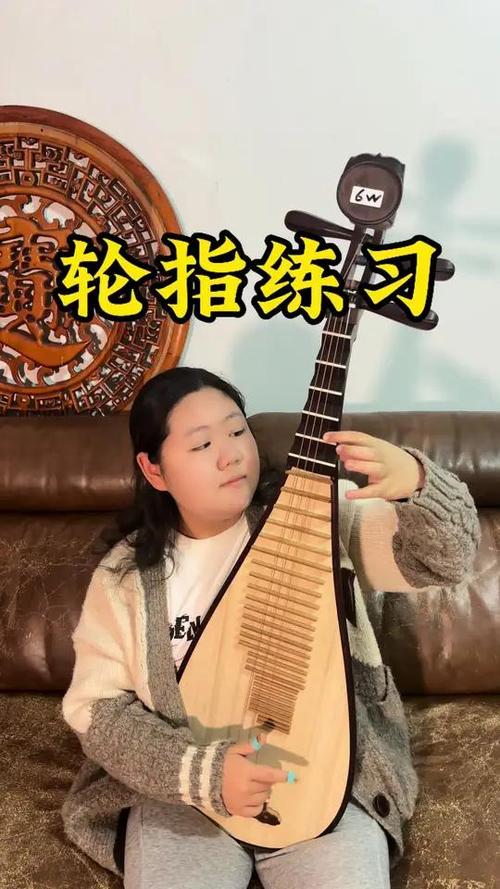 琵琶 视频