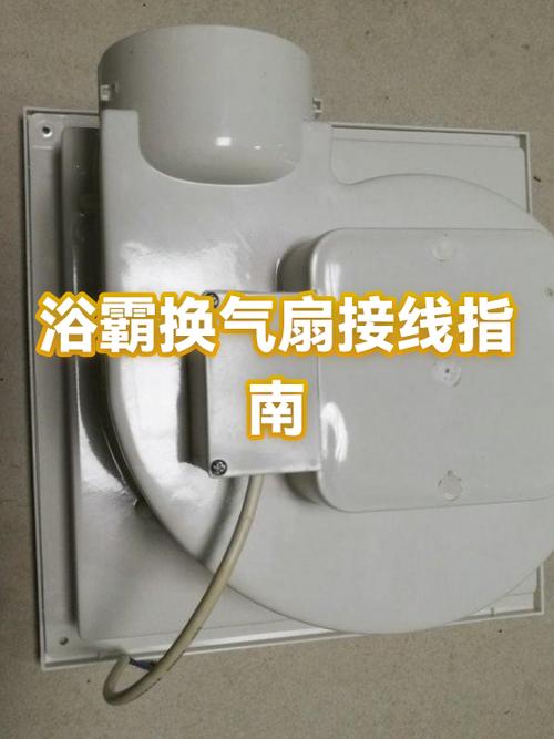 浴霸换气扇能单独换吗