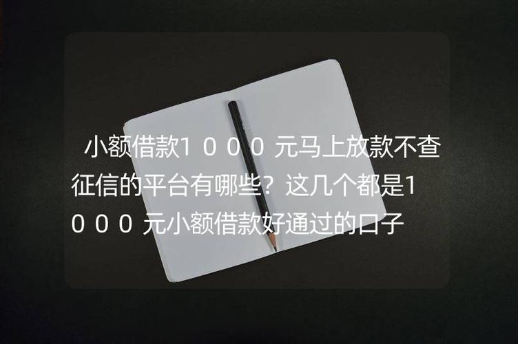 小额贷1000元