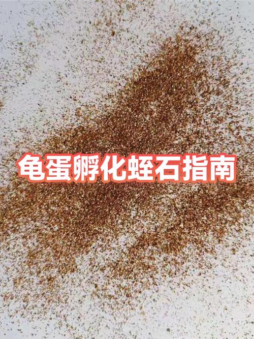 龟蛋可以自然孵化吗