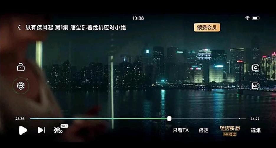 爱奇艺大屏版