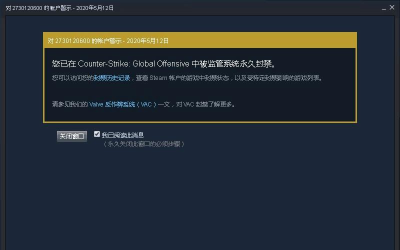 csgo打着打着vac验证错误