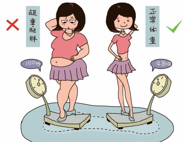 如何保持完美体重图标