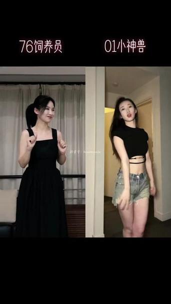 波斯猫妞做什么工作
