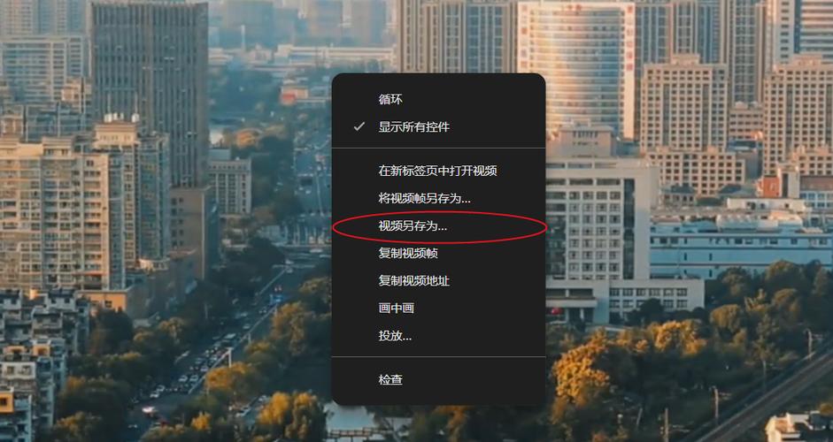 短视频解析工具