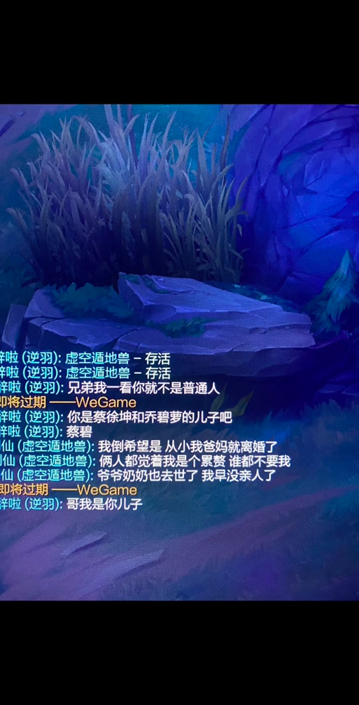 英雄联盟手游聊天记录怎么查