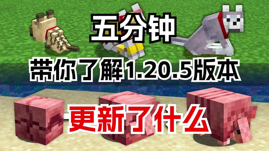 我的世界1.21.5国际版
