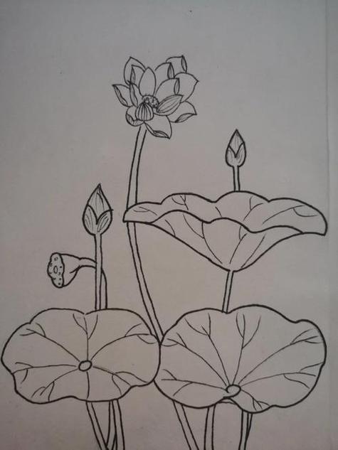 简笔荷花怎么画