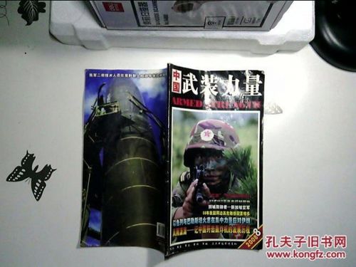 最好2008中文