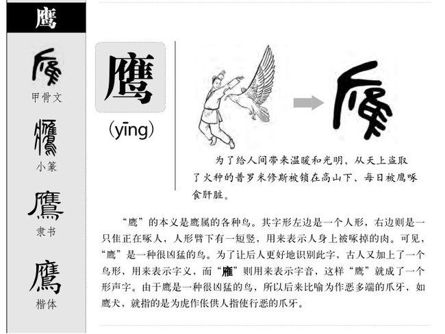 带鹰的霸气昵称缩略图