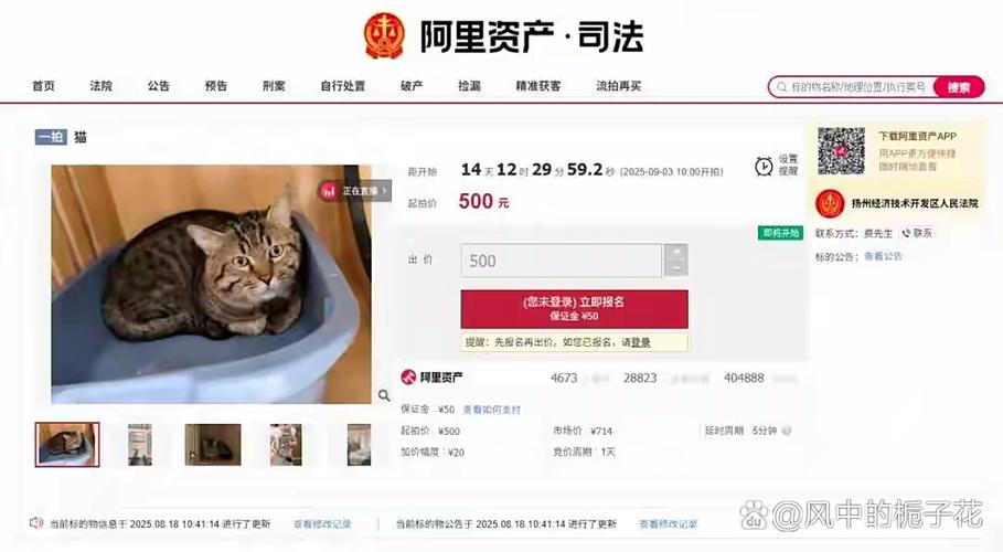 阿里拍卖司法拍卖网缩略图