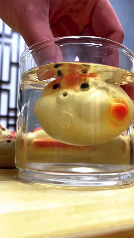 F小肥鱼