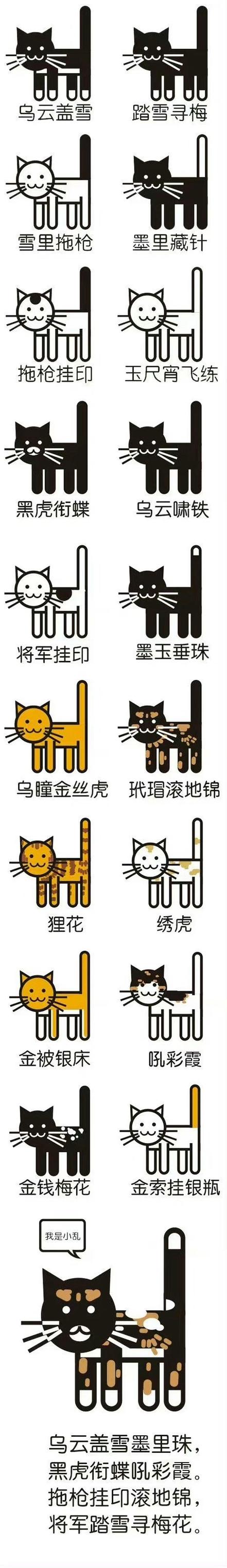 qq昵称代码后面加喵图标