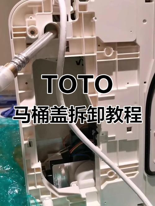 toto马桶盖的拆卸方法游戏截图