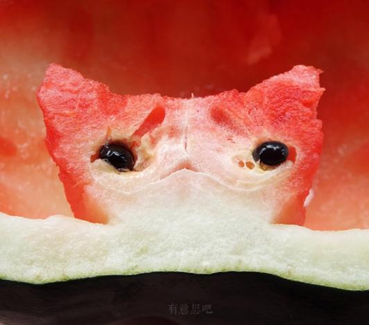 我在动物世界玩逃生盘搜搜
