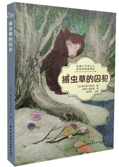 小熊的故事小说免费阅读全文