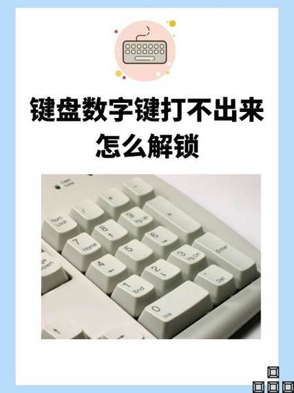 键盘数字字母都打不出来怎么解锁缩略图