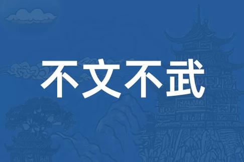 文不像什么武不像什么截图