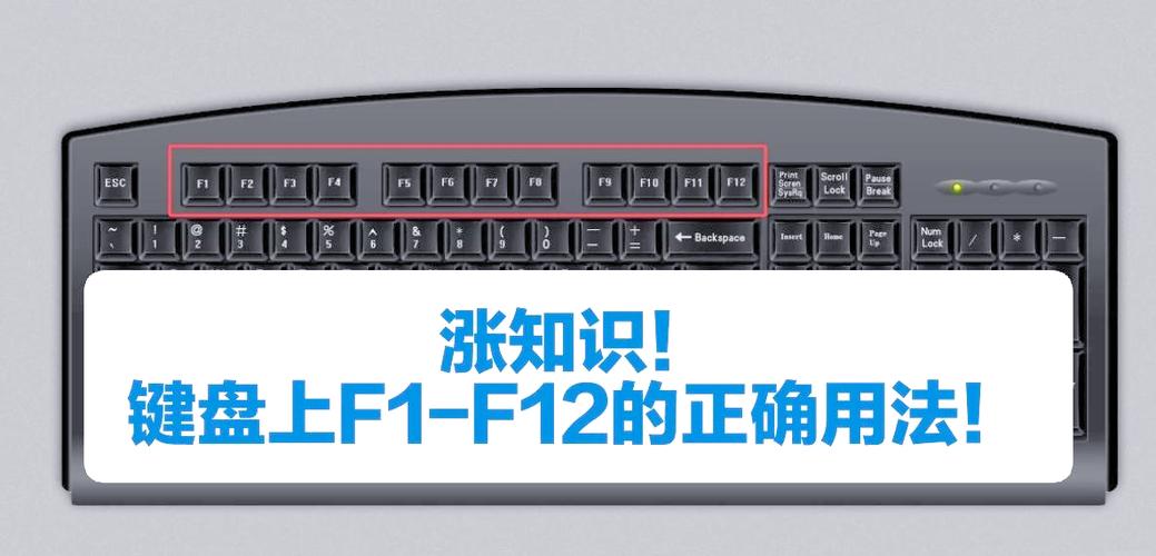 键盘f1-f12功能键转换缩略图