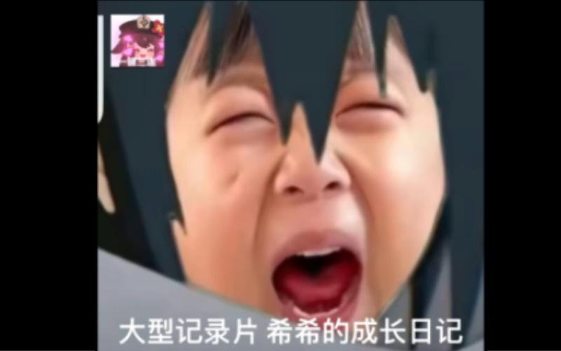 希希的意思