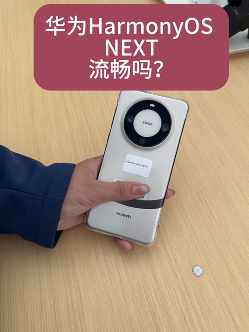 鸿蒙系统升级后内存变大图标